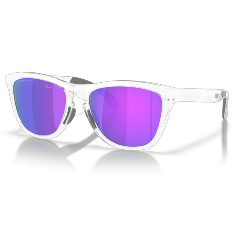 Oakley Frogskins XL Sunglasses